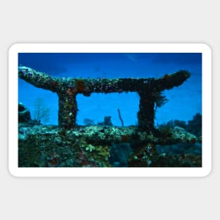 Coral Wreck Mooring Sticker